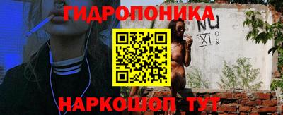 сатива Нарткала