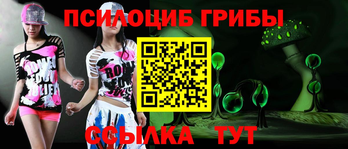 Урус-Мартан  купить   Вход с VPN  Галлюциногенные грибы прущие грибы 